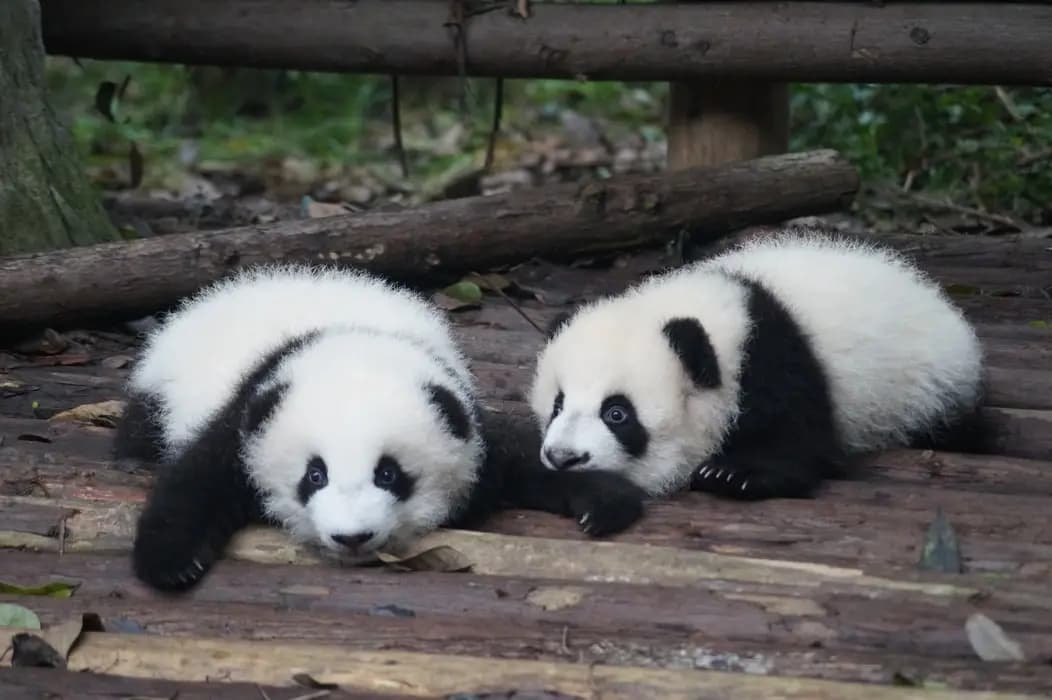 Complete Pandas Tutorial: Final Chapter - Aggregating and Merging
